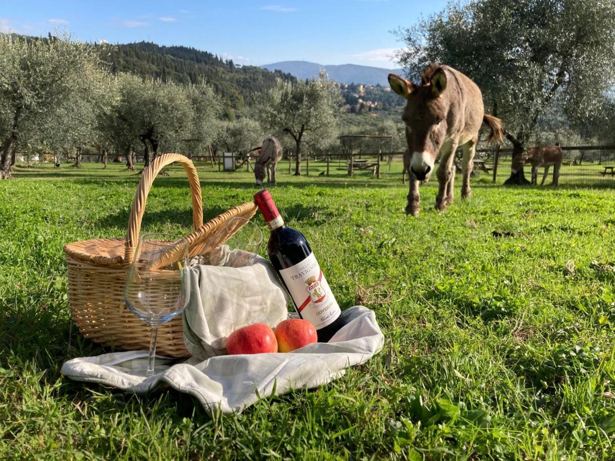Fattoria Di Maiano Guest House Fiesole Bagian luar foto